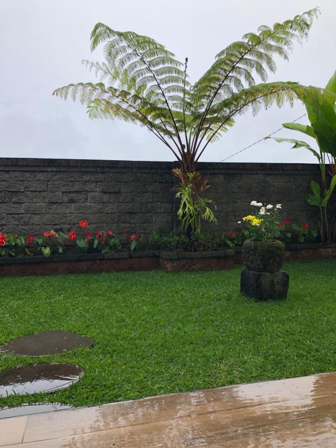 Buyan Lodge Lake View Villa Bedugul  Eksteriør billede
